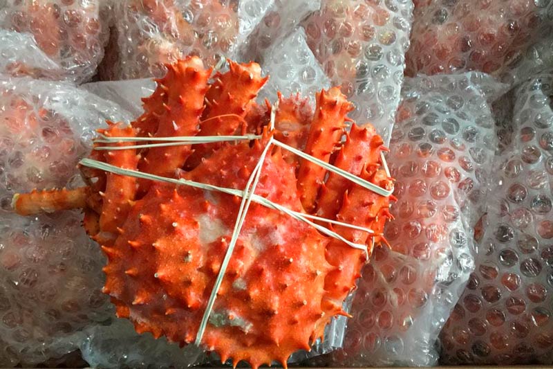 CENTOLLA ENTERA VIVA GALERIA (3)